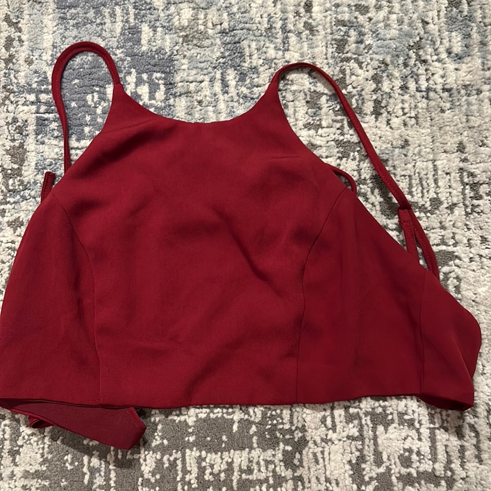 Tobi Maroon backless top